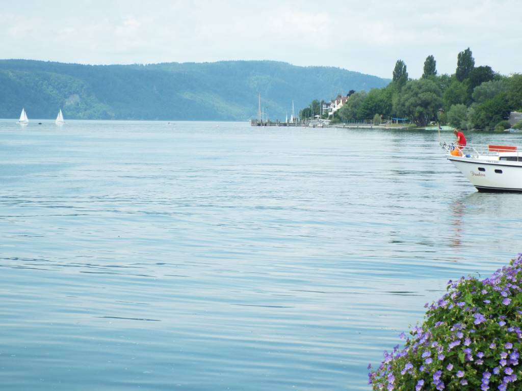 Überlinger See in Richtung Westen