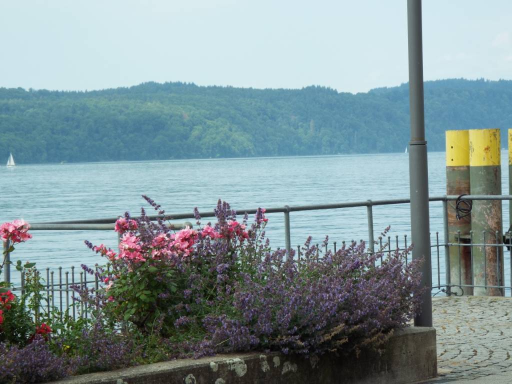 Überlinger See vom Landungsplatz Überlingen