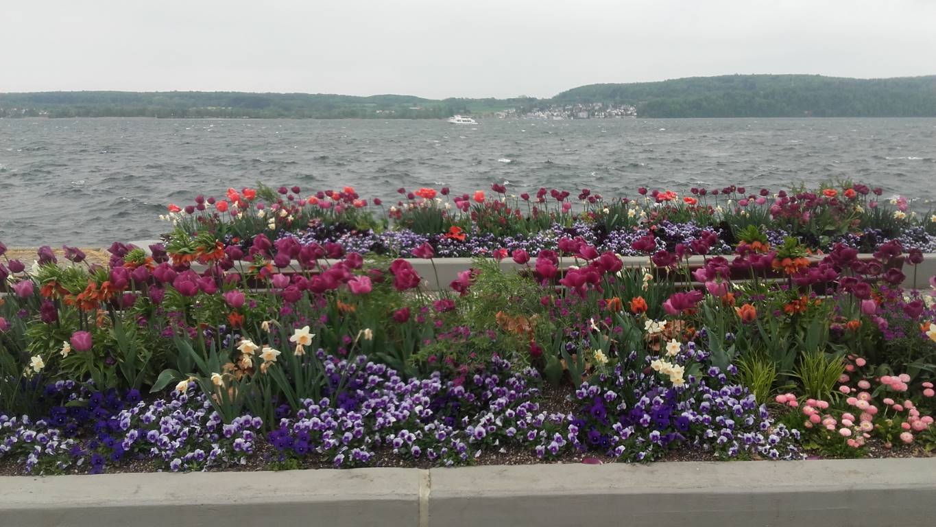 Blumenbeet an der Überlinger Promenade