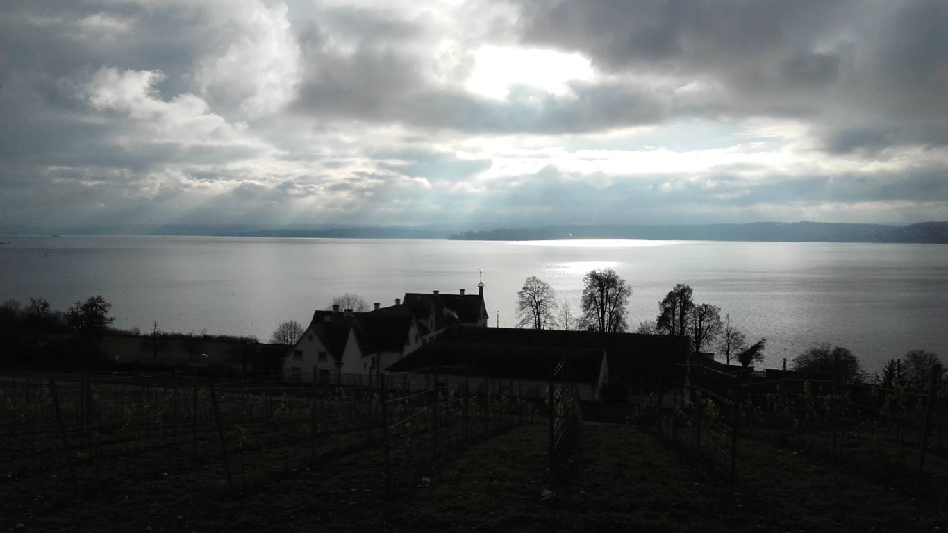 Überlinger See von der Klosterkirche Birnau